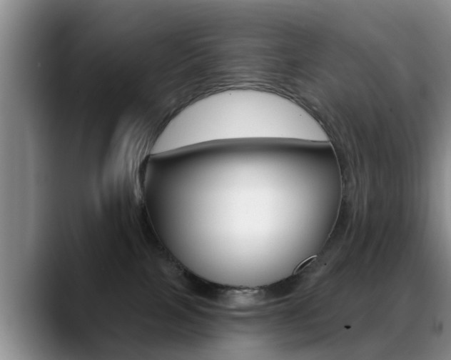 X0000089390089200706150940