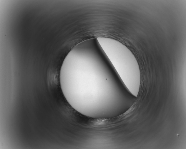 X0000089390090200706150940