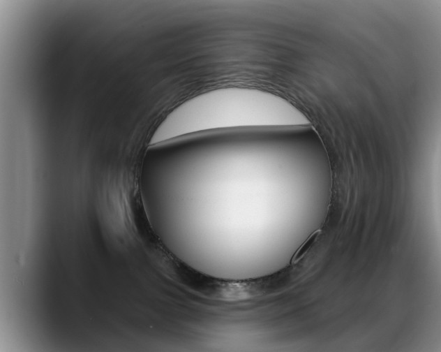 X0000089390091200706150940