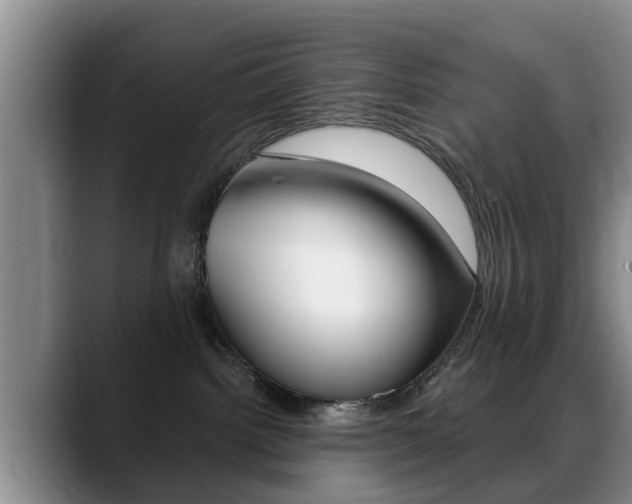 X0000089390092200706150940