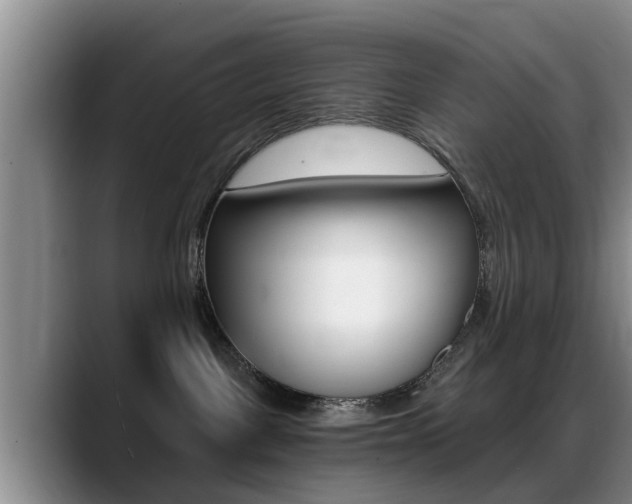 X0000089390093200706150940