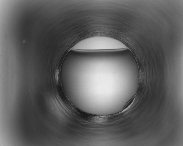 X0000089390094200706150940