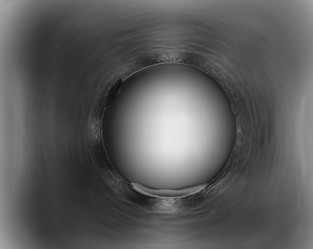 X0000089390096200706150940