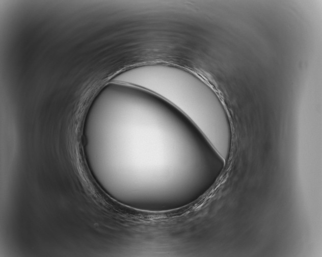 X0000089390097200706150939