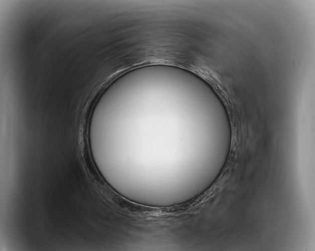 X0000089390098200706150939