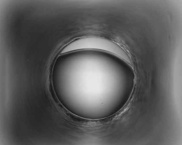 X0000089390101200706150939