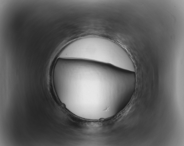 X0000089390102200706150939