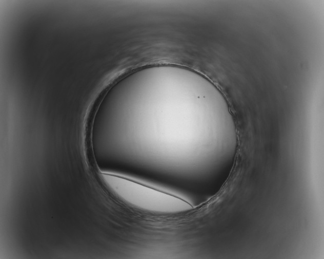 X0000089390104200706150939