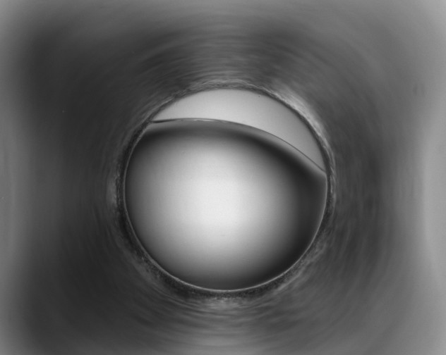 X0000089390105200706150939