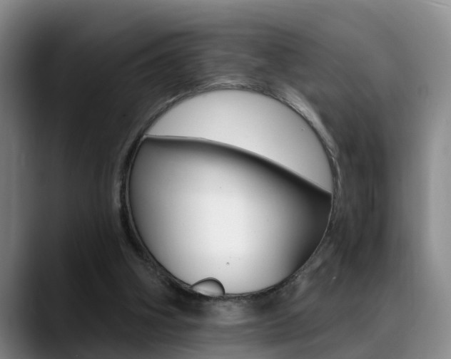 X0000089390106200706150939