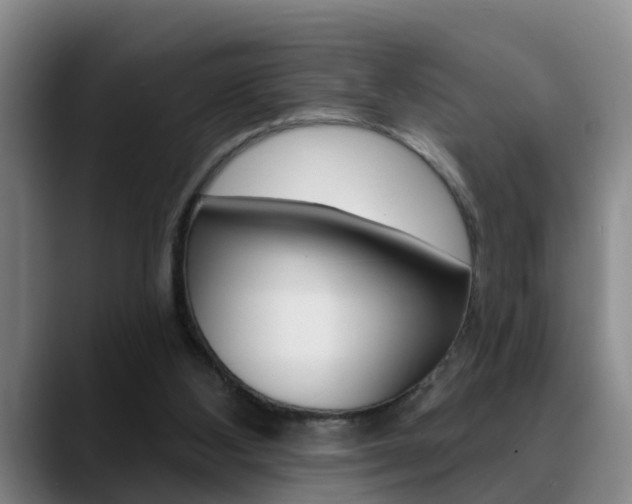 X0000089390108200706150939