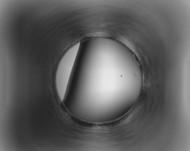 X0000089390109200706150939