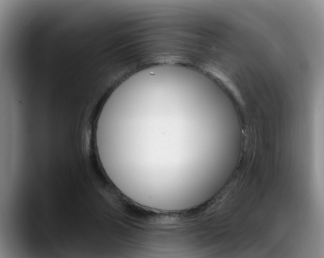 X0000089390110200706150939