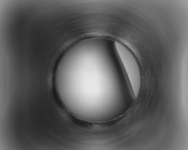X0000089390111200706150939