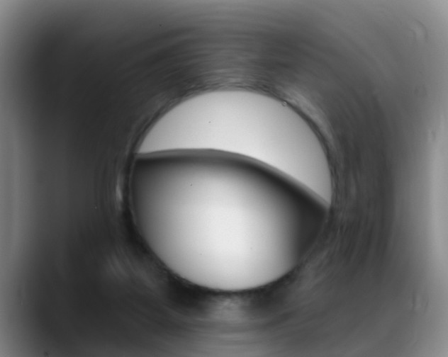 X0000089390115200706150939