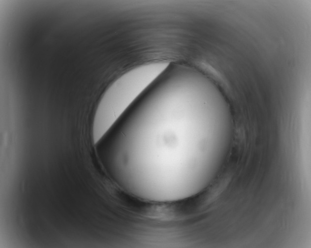 X0000089390117200706150939