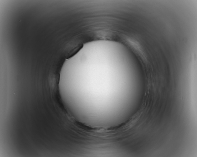 X0000089390121200706150939
