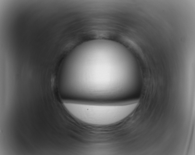 X0000089390123200706150939