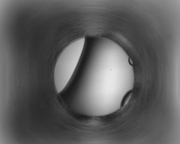 X0000089390124200706150939