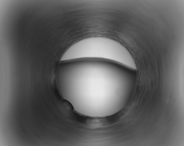X0000089390129200706150939