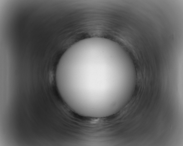 X0000089390130200706150939
