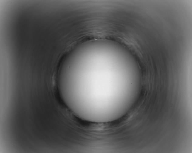 X0000089390131200706150939