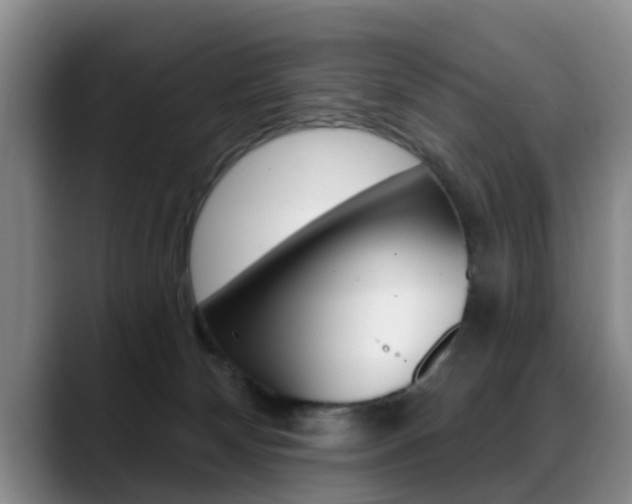 X0000089390132200706150939