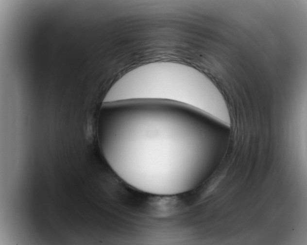 X0000089390135200706150939