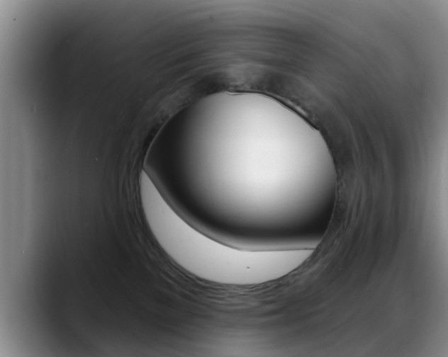 X0000089390137200706150939