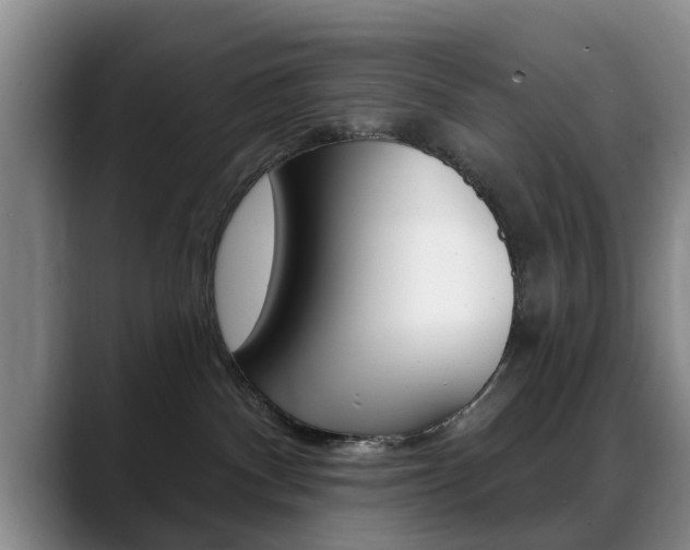 X0000089390140200706150939