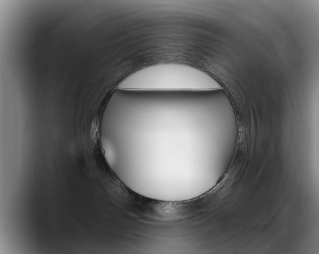 X0000089390142200706150939