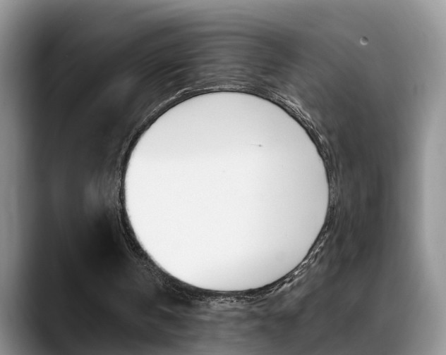 X0000089390146200706150938