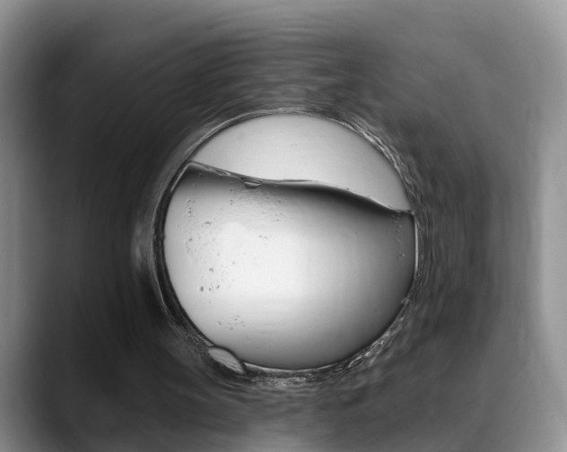 X0000089390147200706150938