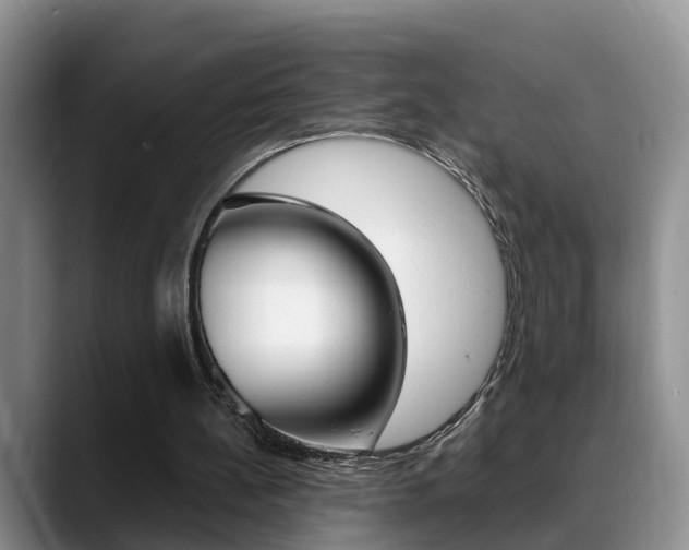 X0000089390148200706150938
