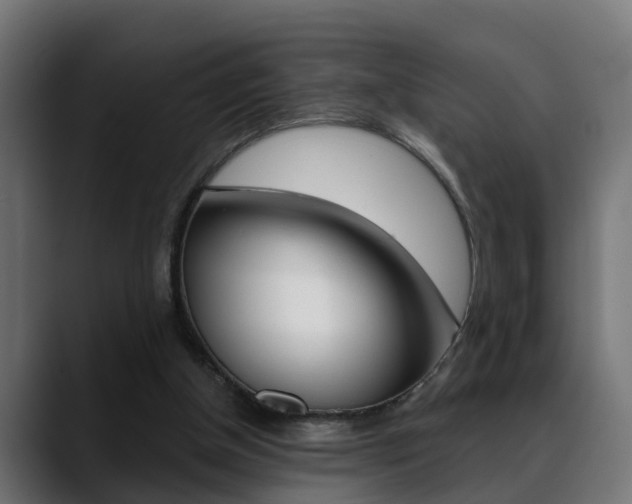 X0000089390154200706150938