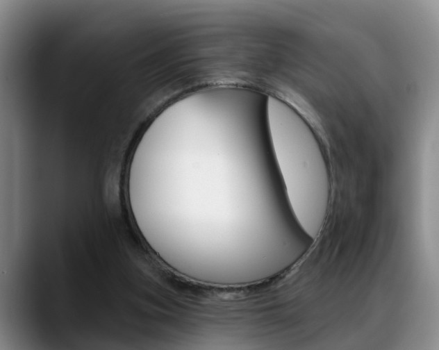 X0000089390155200706150938