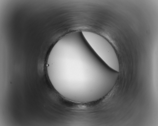 X0000089390159200706150938