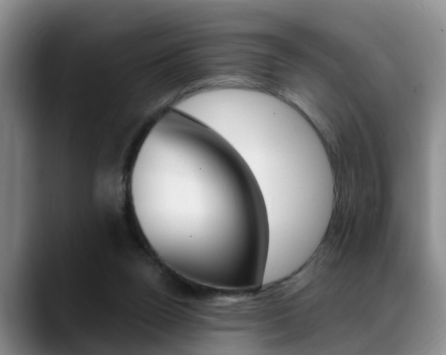 X0000089390160200706150938