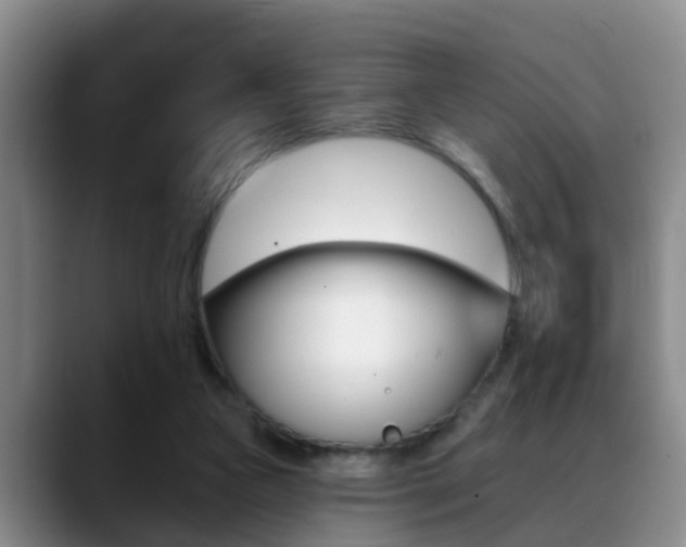 X0000089390161200706150938