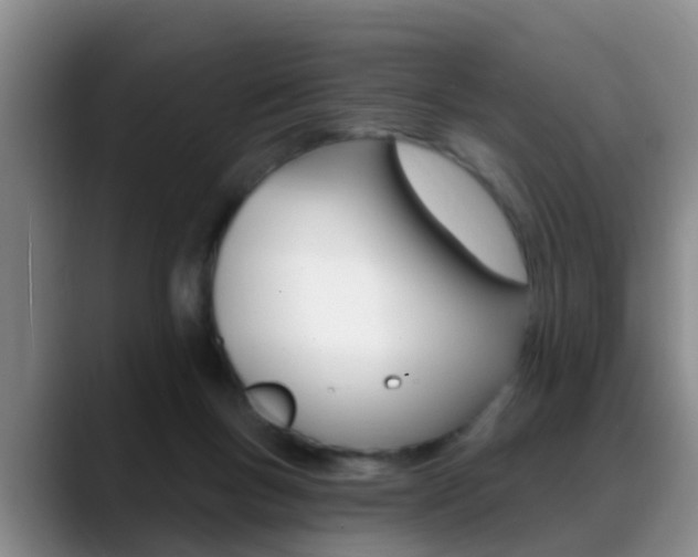 X0000089390167200706150938