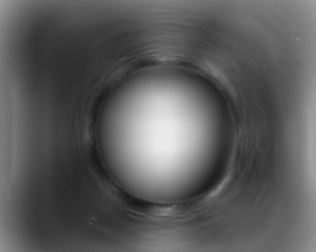 X0000089390170200706150938