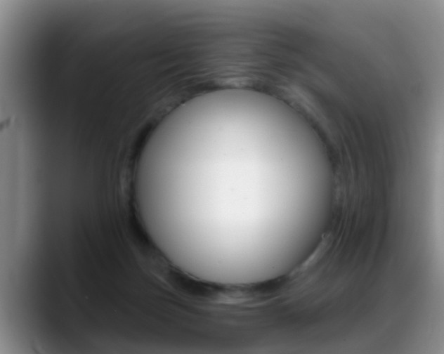 X0000089390171200706150938