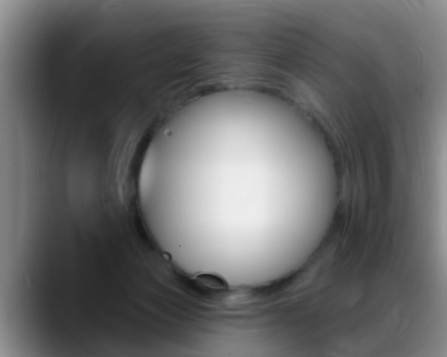 X0000089390173200706150938
