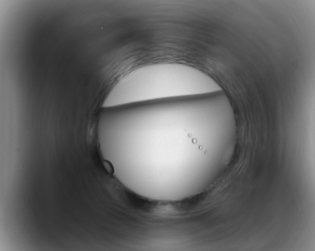 X0000089390177200706150938