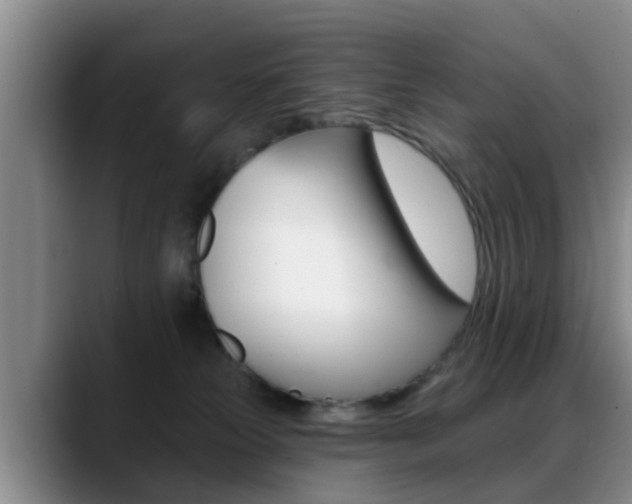 X0000089390181200706150938