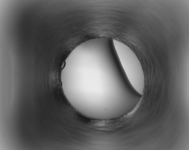 X0000089390182200706150938