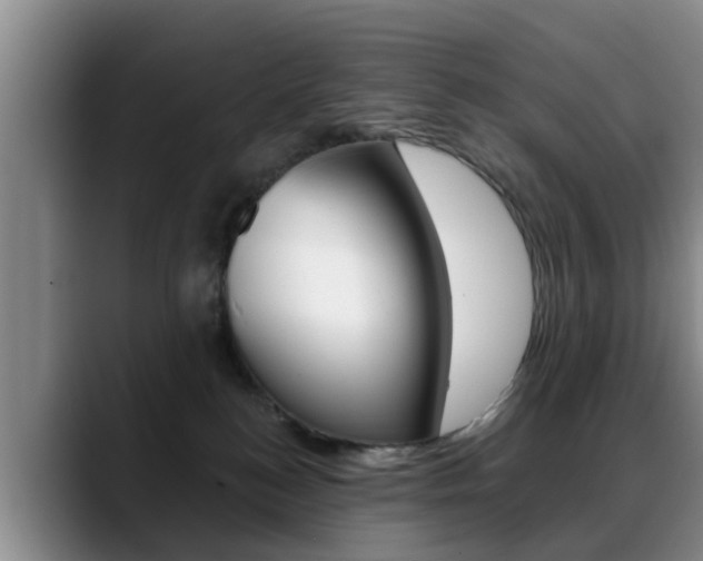 X0000089390184200706150938