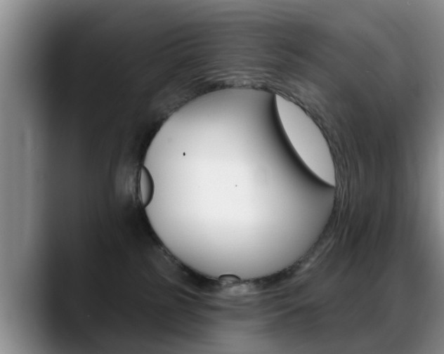 X0000089390185200706150938