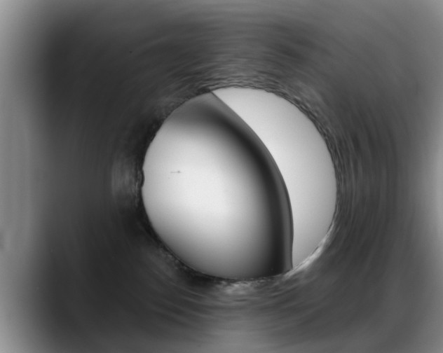 X0000089390186200706150938