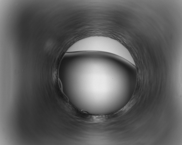 X0000089390188200706150939